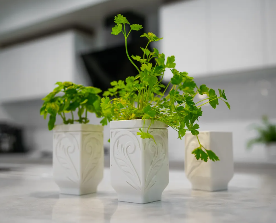 Self Water Herb Planter — 3D printed by Moon Studio 3D